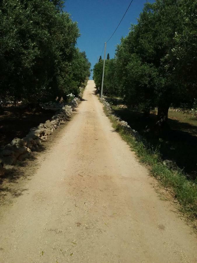ホテル Trullo Vista オストゥーニ エクステリア 写真